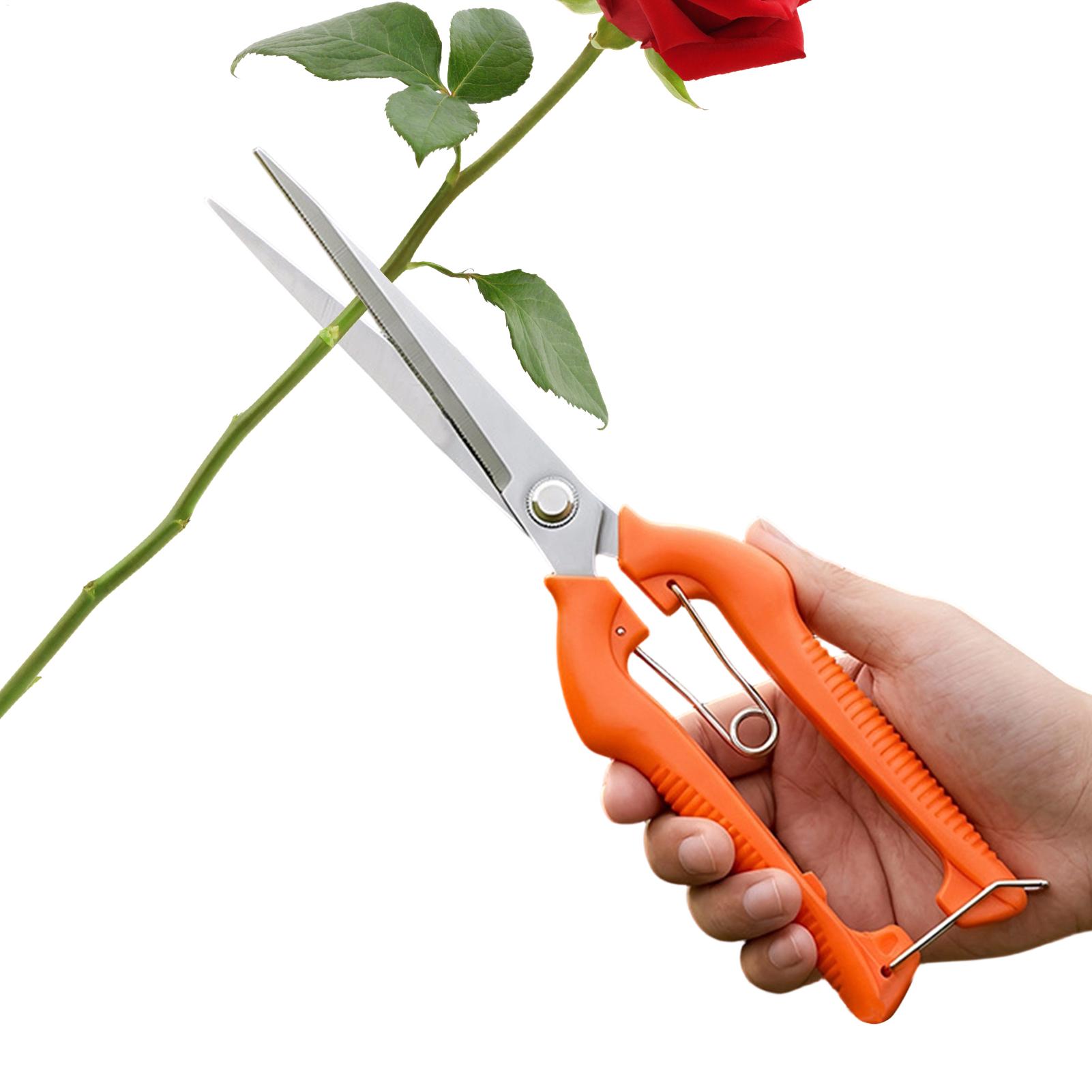 Gardening Tools Women - 剪定鋏 葡萄鋏 園芸工具 野菜畑 盆栽 プロ仕様