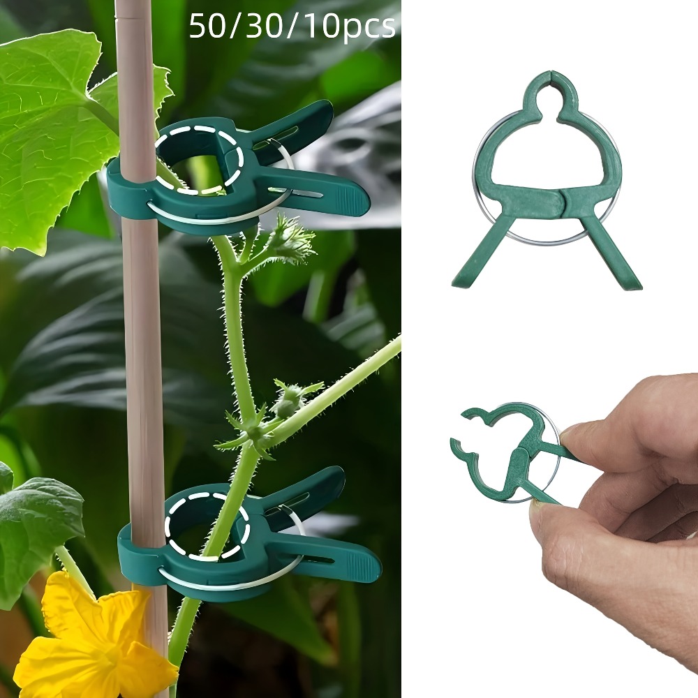 Gardening Tools Essential - 10/30/50個入り調整可能な植物クリップ - 花、蔓、野菜、トマト用の再利用可能な園芸サポート具 - 必須の園芸ツール