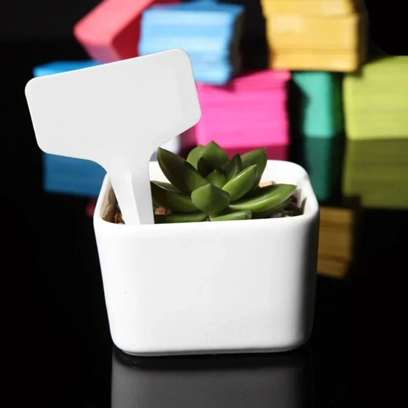Gardening Tools Names - 20 個プラスチック防水植物名札ストリップライン園芸ラベル標識マークツールフラワーショップガーデンアクセサリー