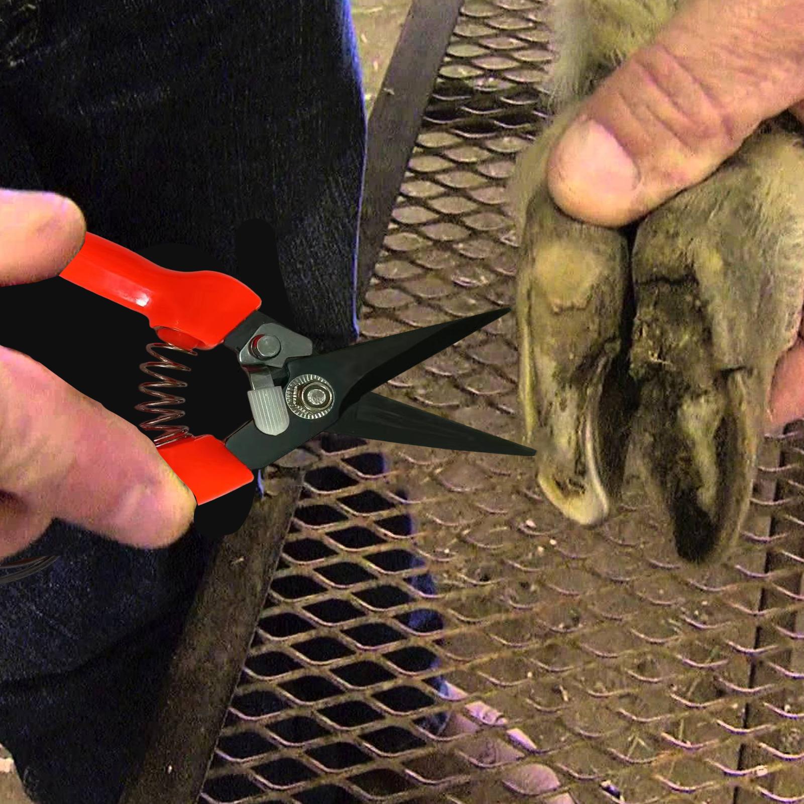 羊の蹄トリマー、低木植物の花剪定鋏、庭用ハサミ、ヤギの蹄トリ - Garden Hand Trowel のレビューと価格
