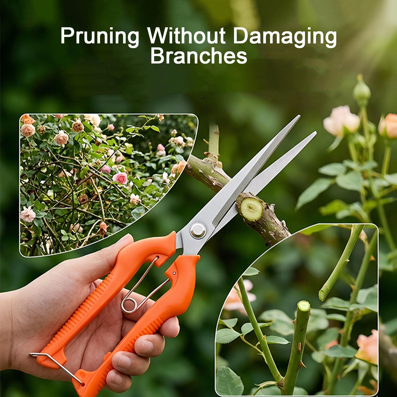 剪定鋏 葡萄鋏 園芸工具 野菜畑 盆栽 プロ仕様 ステンレス - Gardening Tools Women のレビューと価格