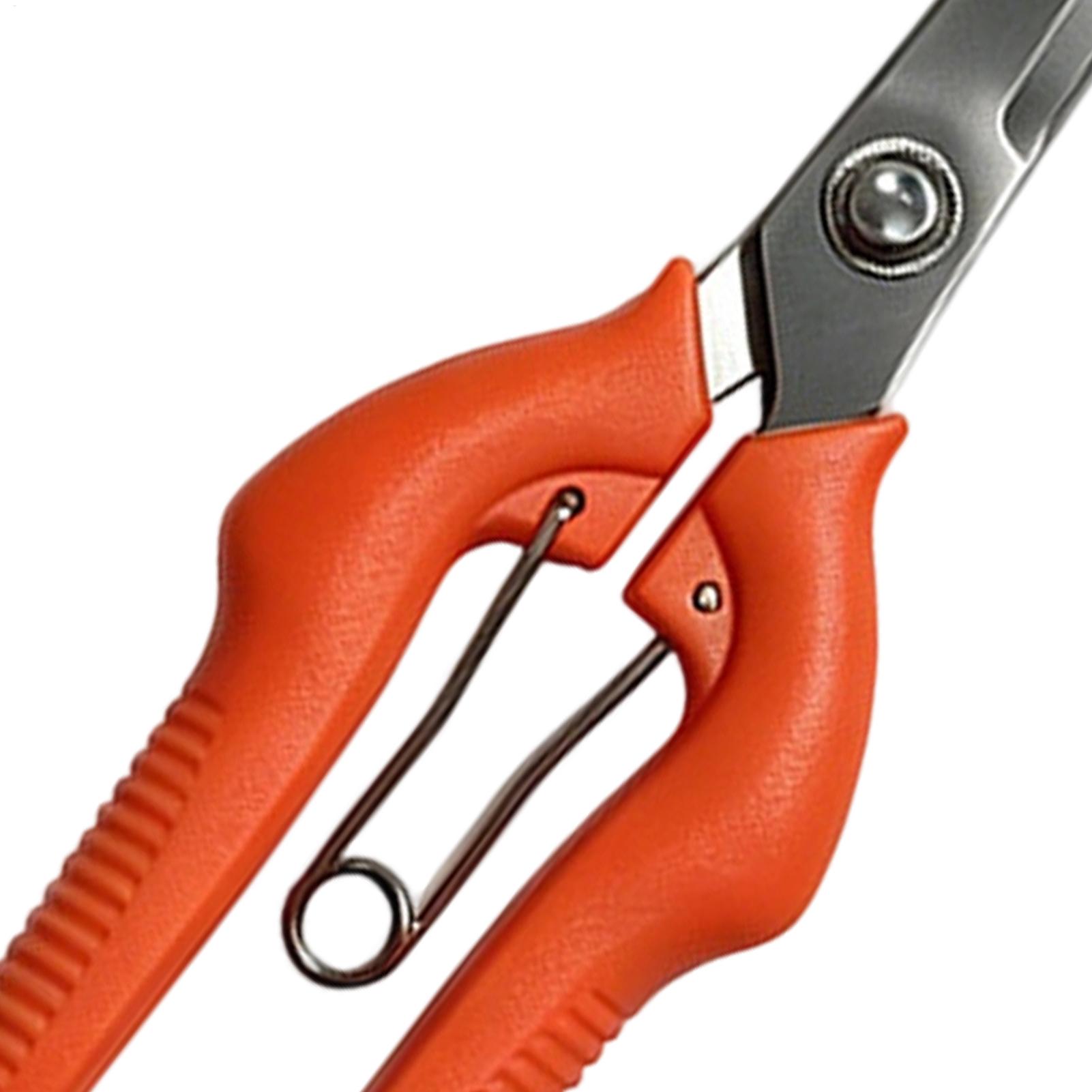 剪定鋏 葡萄鋏 園芸工具 野菜畑 盆栽 プロ仕様 ステンレス - Gardening Tools Women のレビューと価格