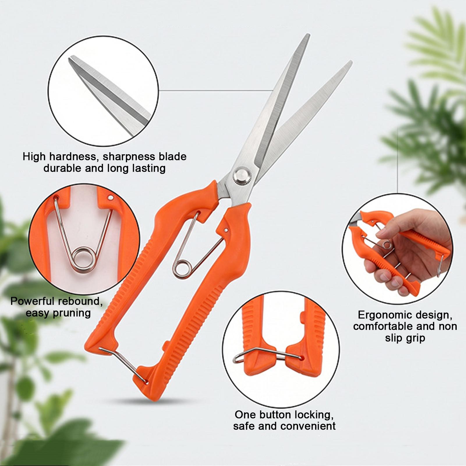 剪定鋏 葡萄鋏 園芸工具 野菜畑 盆栽 プロ仕様 ステンレス - Gardening Tools Women のレビューと価格
