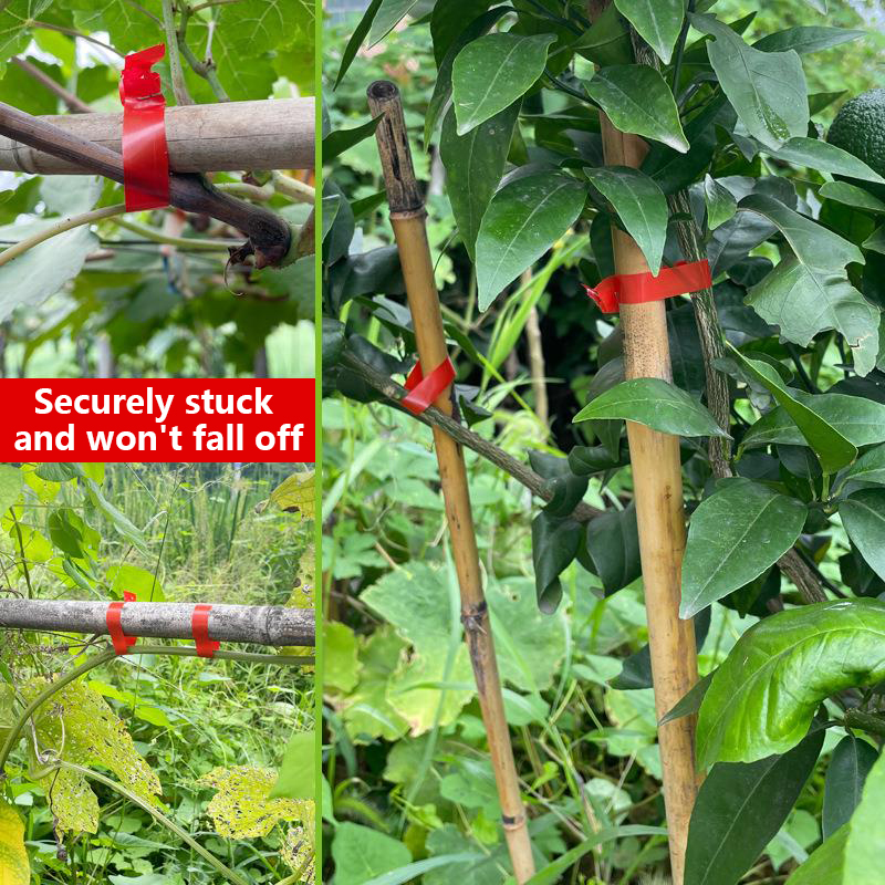 園芸植物の枝結束機、野菜用テープ、家庭菜園の苗や蔓の結束ツー - Gardening Tools Kit For Home Garden のレビューと価格