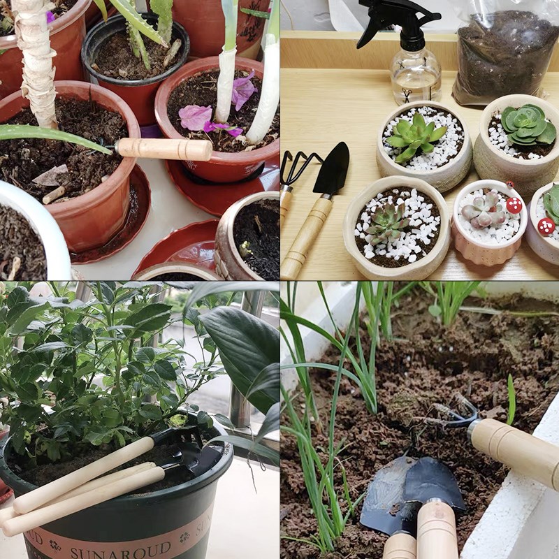 3PC/1 セットミニガーデニングツールセットポータブル小型 - Gardening Tools Shop のレビューと価格