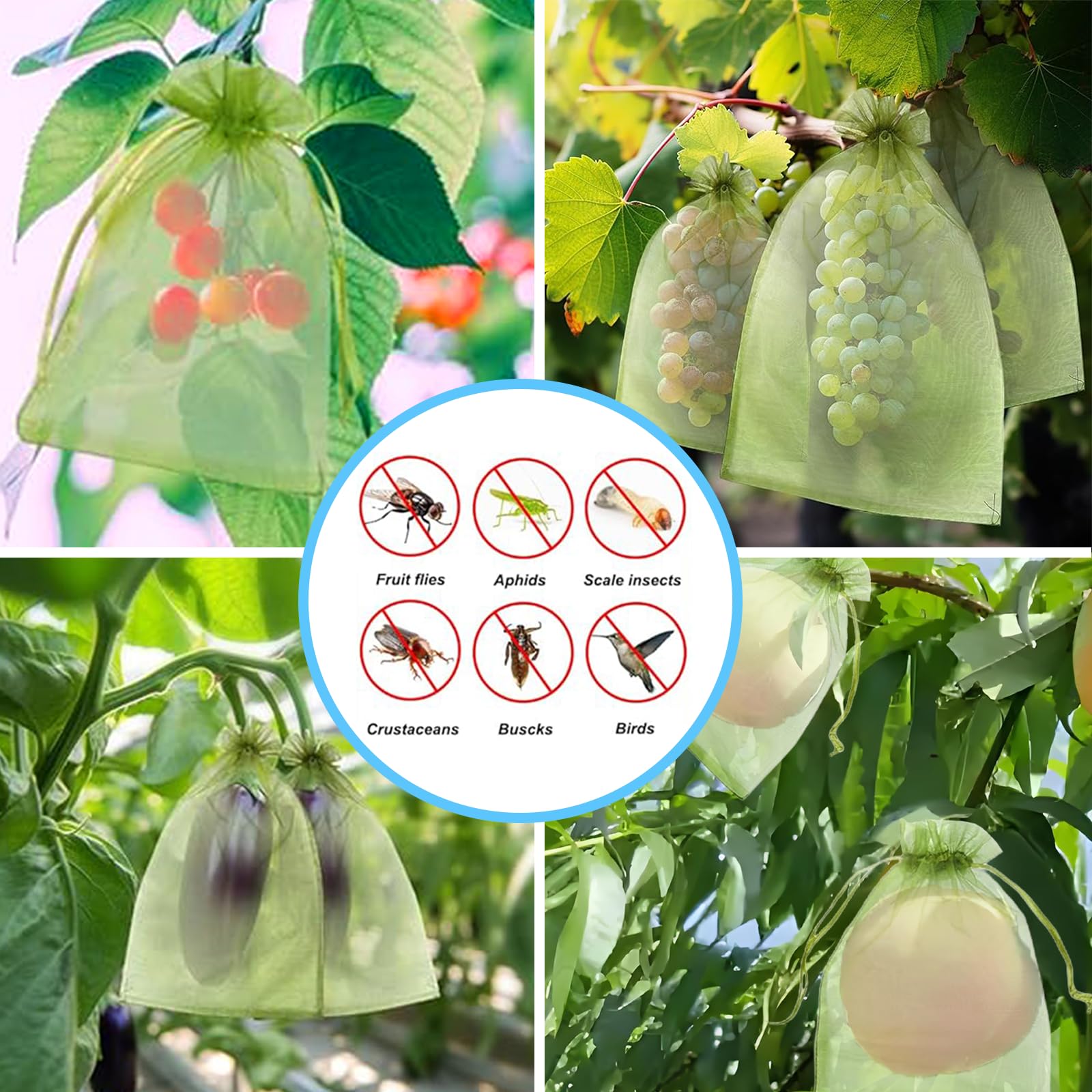 効果的な防鳥ネット、果物保護バッグ、植物育成カバー、イチゴ、 - Outdoor Planting Bag のレビューと価格