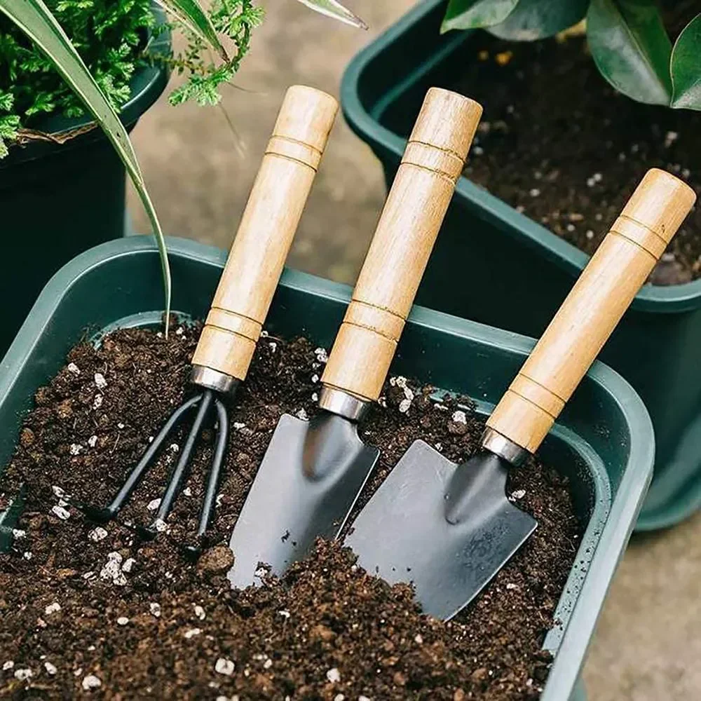 3 ピース/セットミニガーデンツールセット小型屋内植物ケア掘 - Gardening Tools Shop のレビューと価格