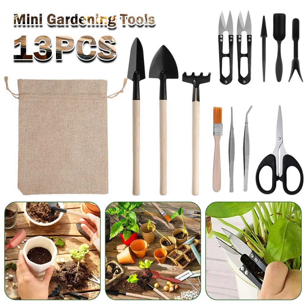 屋内多肉植物ツールセット、黒の鉢植え、サボテンの植物の栽培、 - Gardening Tools Kit For Home Garden のレビューと価格