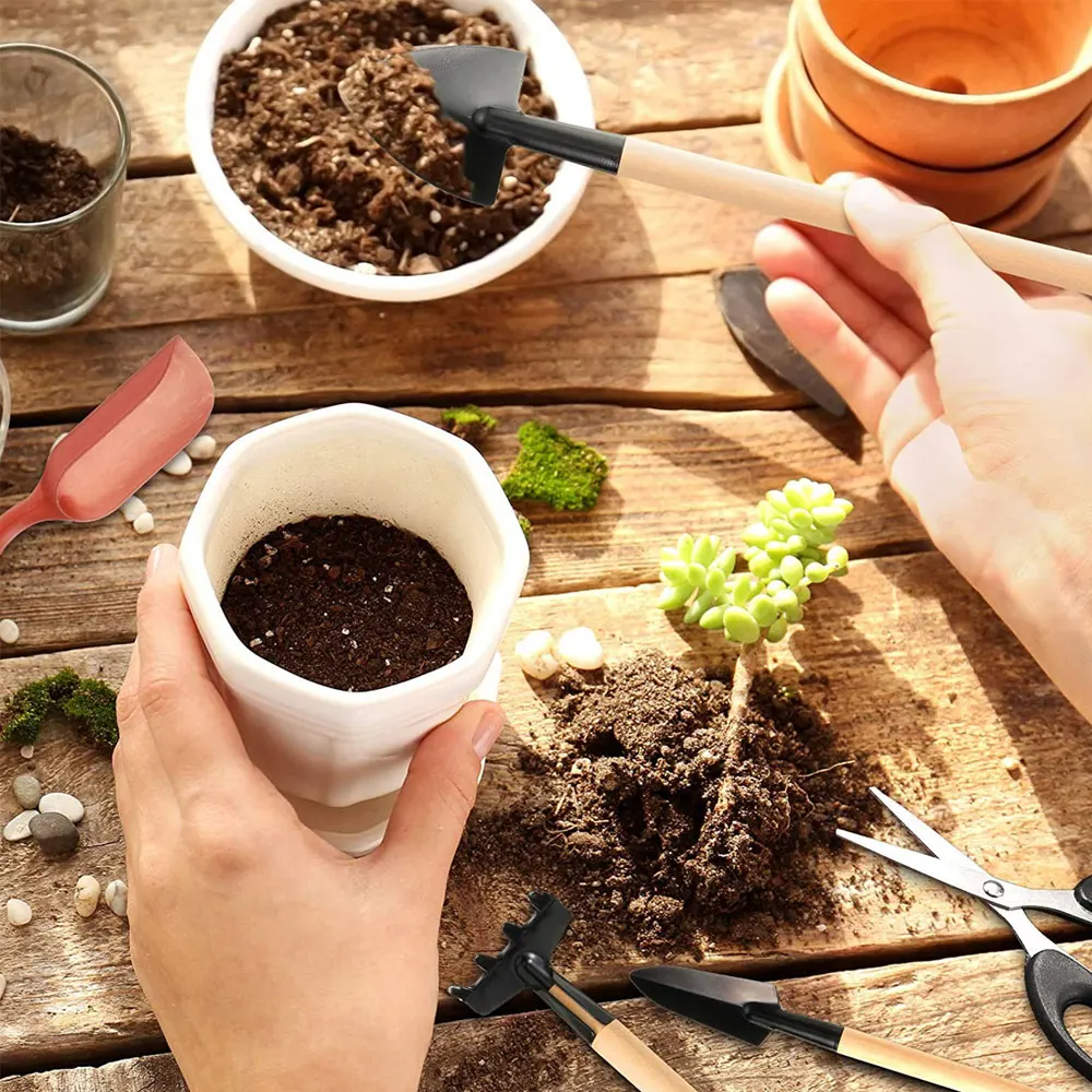 屋内多肉植物ツールセット、黒の鉢植え、サボテンの植物の栽培、 - Gardening Tools Kit For Home Garden のレビューと価格