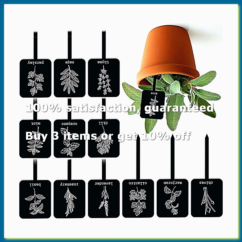 24 個のアクリル製植物ラベルサイン 12 スタイル ガーデ - Gardening Tools Names のレビューと価格