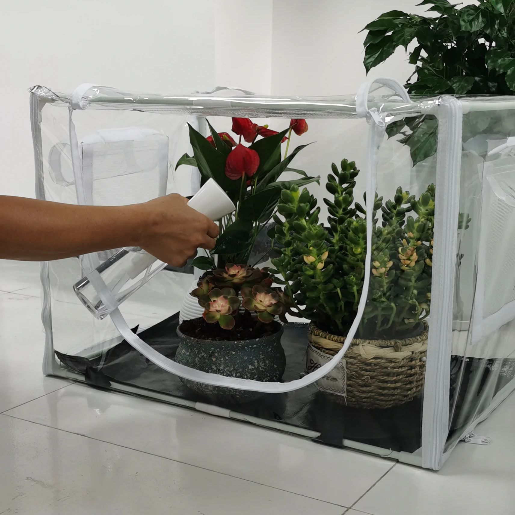 鉢植えや栽培バッグ用のコンパクトな屋内/屋外温室 - 省スペ - Outdoor Planting Bag のレビューと価格