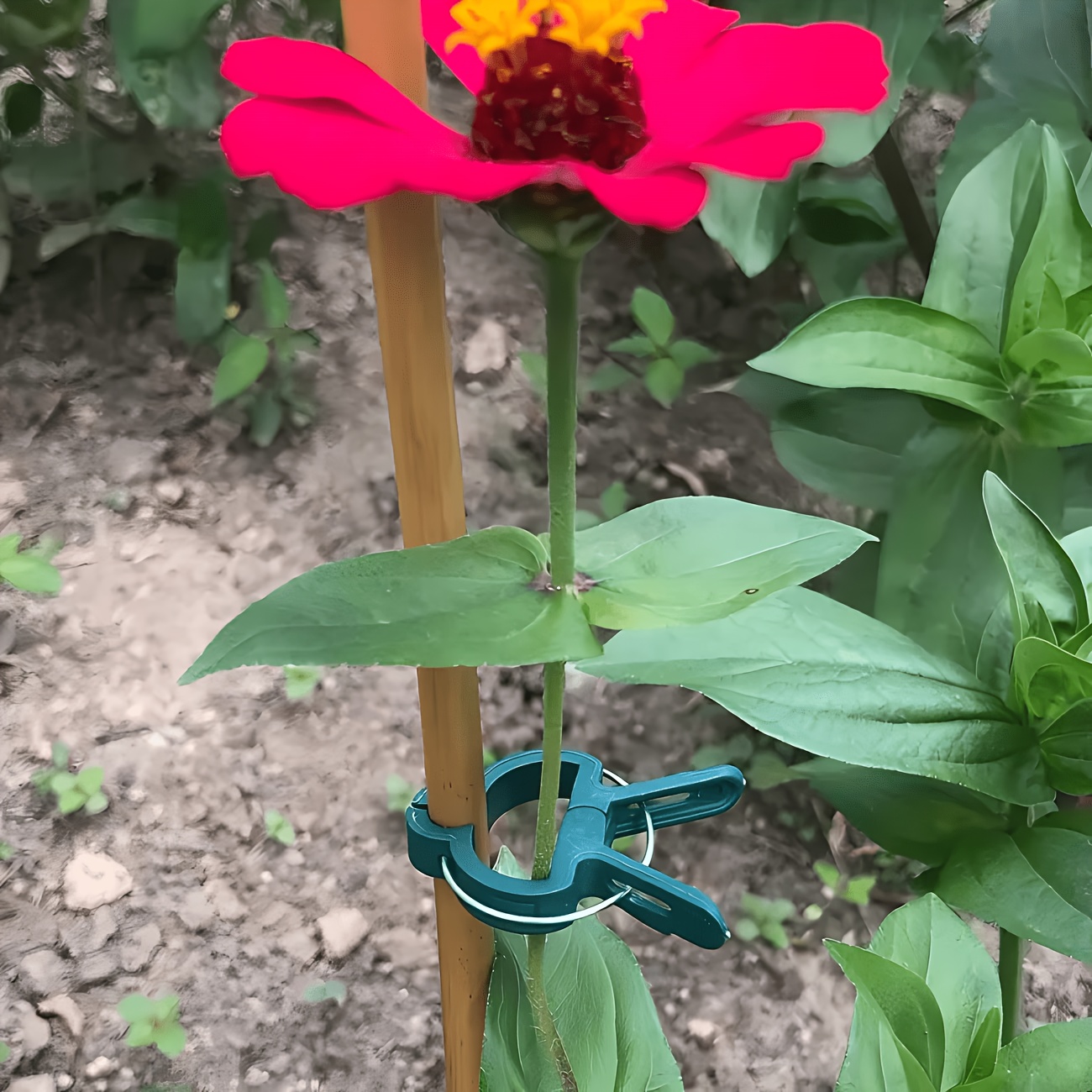 5個入り調整可能な植物クリップ、大小様々な再利用可能な花、つ - Gardening Tools Essential のレビューと価格