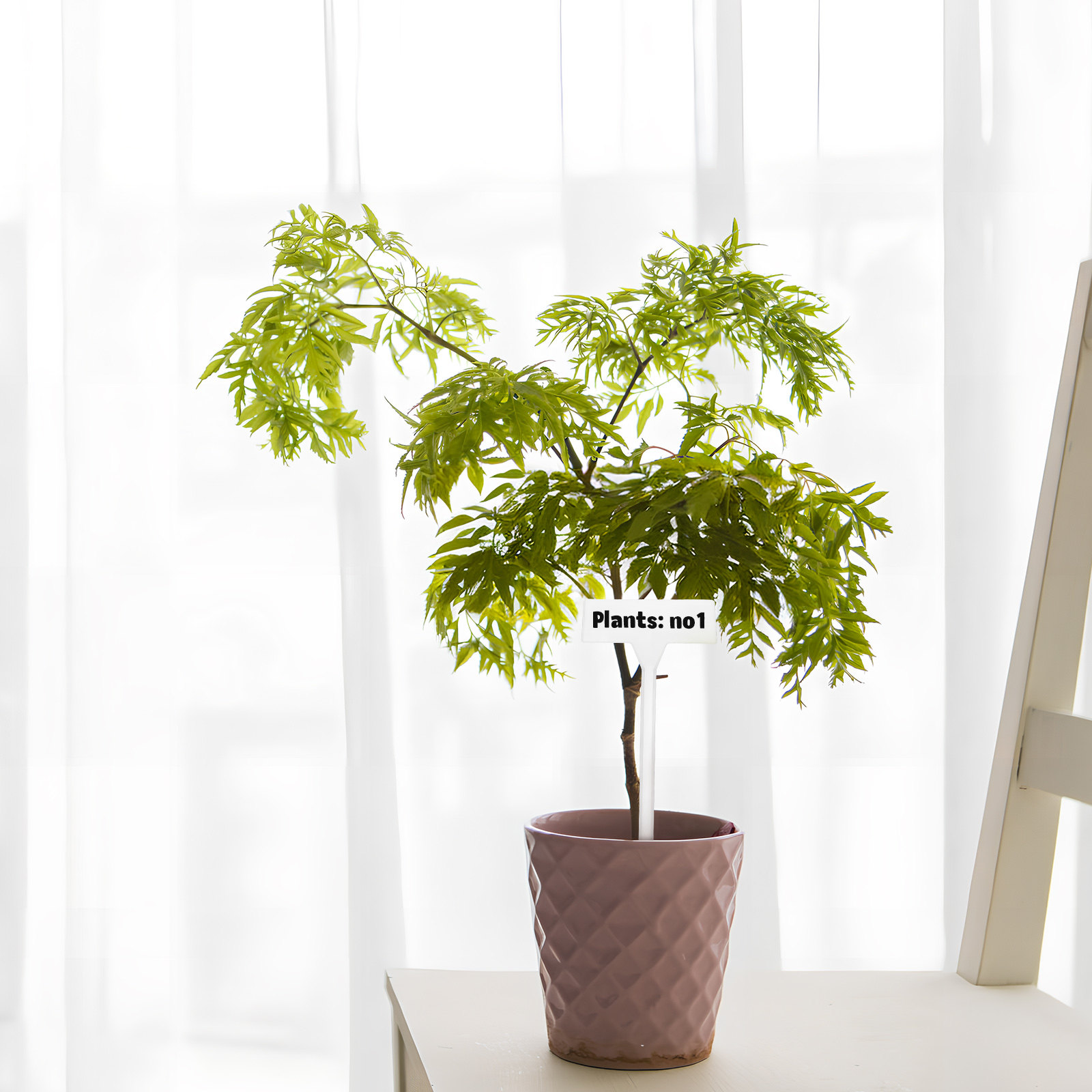 35個入り 植物ラベルステーク 無地プラスチックタグ 室内・ - Gardening Tools Names のレビューと価格