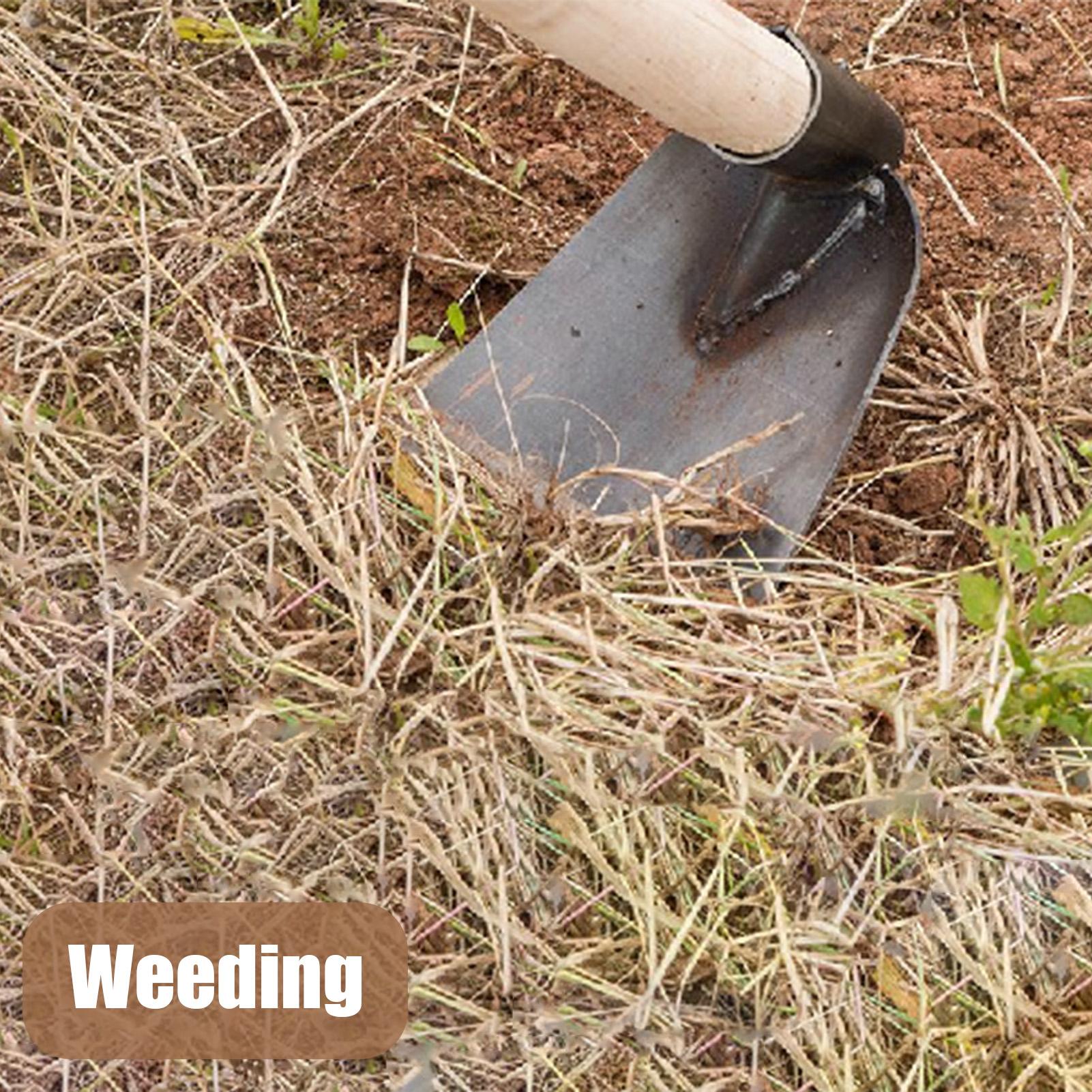 マンガン鋼製鍬 庭用掘削カルチベーター 再利用可能 防錆 農 - Gardening Tools Women のレビューと価格