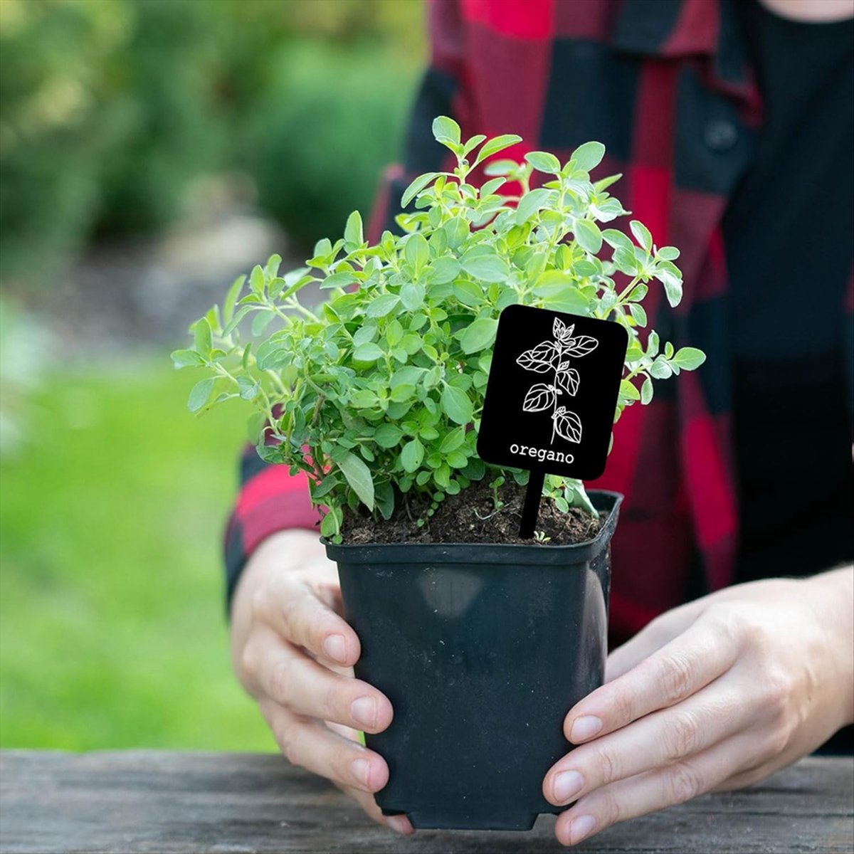 AA14 24個入り アクリル製植物ラベルサイン 12種類  - Gardening Tools Names のレビューと価格