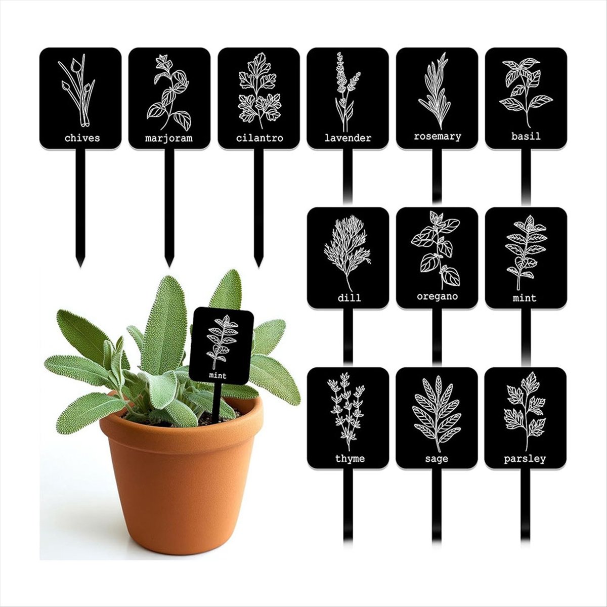 AA14 24個入り アクリル製植物ラベルサイン 12種類  - Gardening Tools Names のレビューと価格