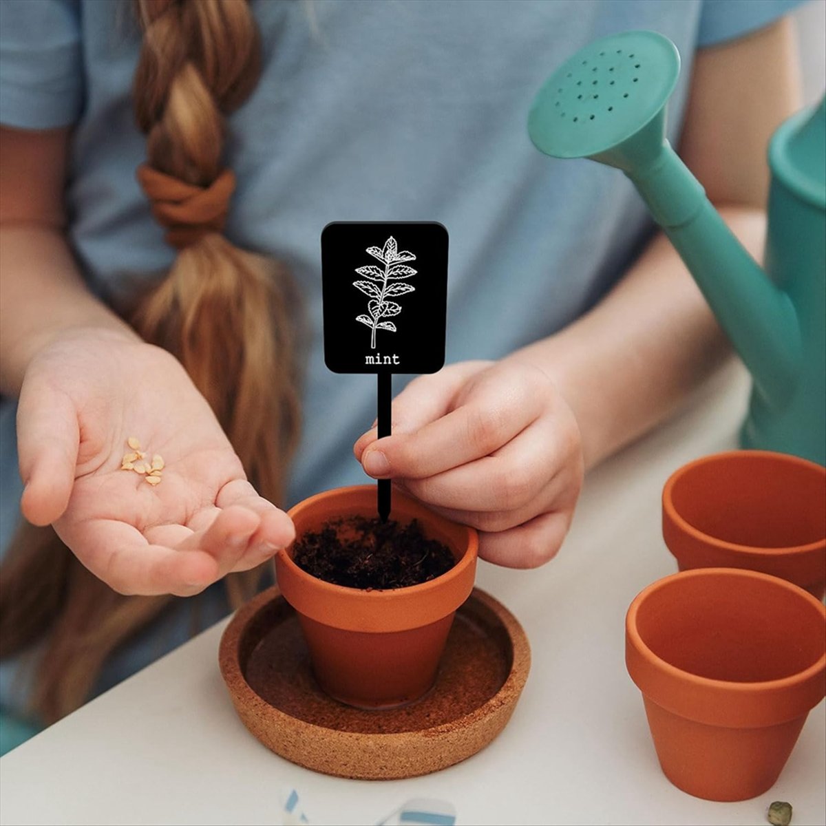 AA14 24個入り アクリル製植物ラベルサイン 12種類  - Gardening Tools Names のレビューと価格